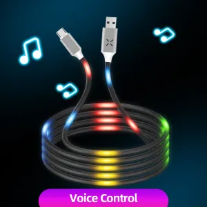 ANMONE Luminous Voice Control USB Cable Type C Phone Charger